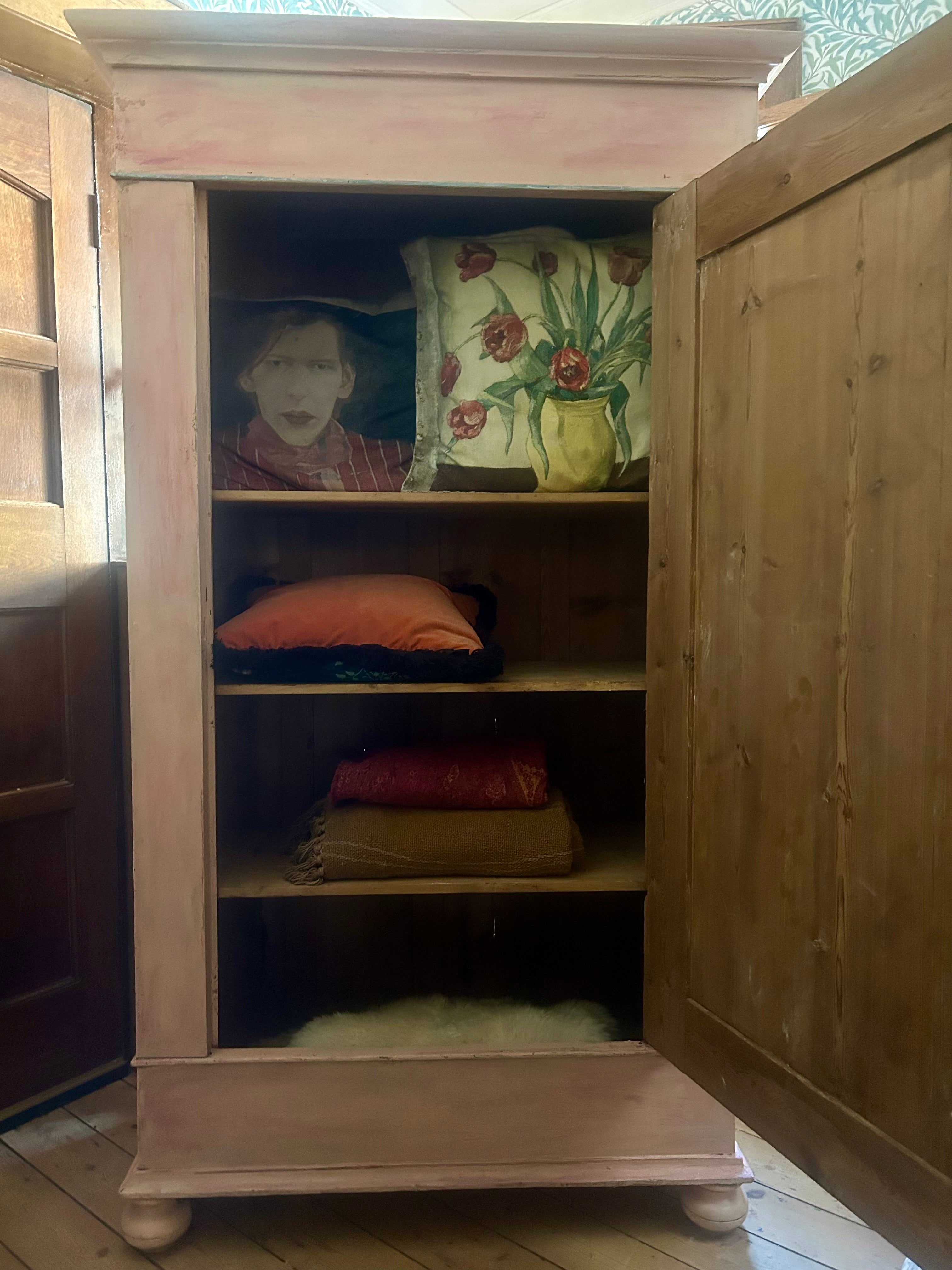 Vintage Painted Cupboard/Armoire with Chinoiserie Panel