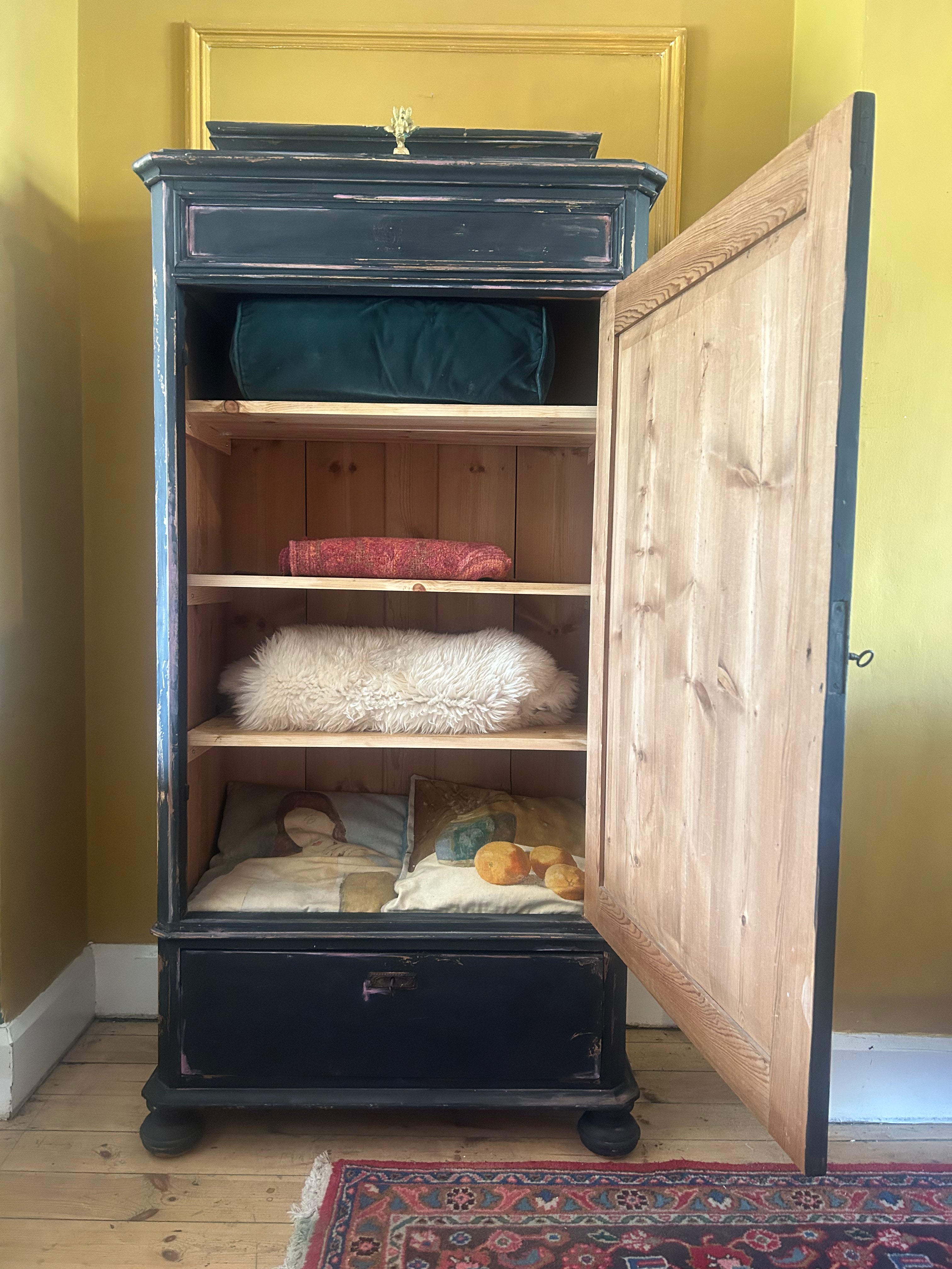 Vintage Painted Hall Cupboard/ Armoire with Chinoiserie Panel